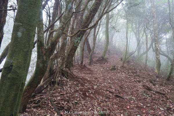 《台中》谷關七雄｜初登屋我尾山201703192890445