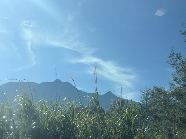 楠梓仙溪林道悠遊    2025.09.142886413