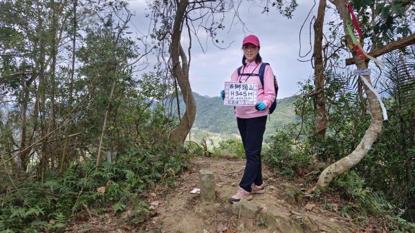 (姨婆趴趴走)第四十六集:新竹關西赤柯山及南峰、東西獅頭山、馬福山環狀縱走2685798