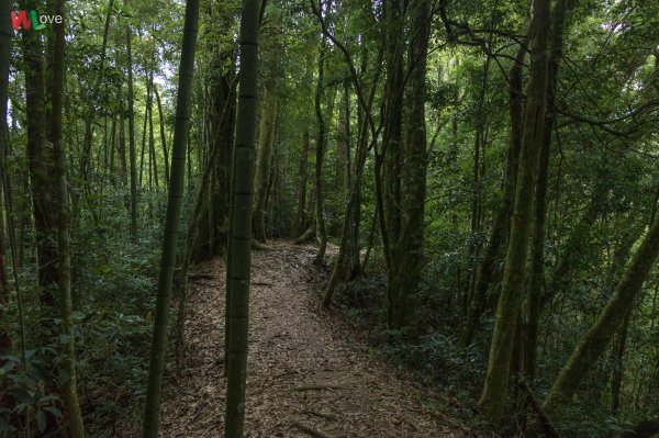 WL 愛旅行【石壁山】499651