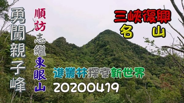 走進叢林內探索新世界，志繼山、東眼山、親子峰，C行健走