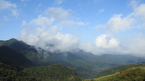 陽明山雲海季6日內連三場+流瀑+觀音圈，天空之城 ?大水沖倒龍王廟 ?水淹金山寺 ?1915923