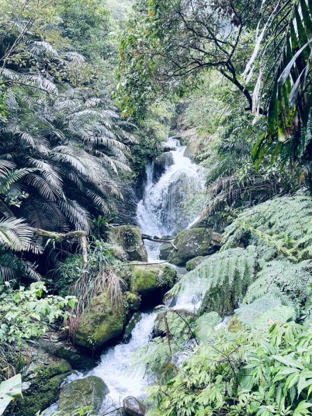 20250413 銀河洞越嶺步道-六分山-待老坑山-員潭子坑山2761186