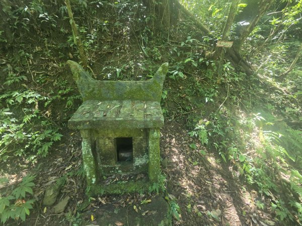20260702中坑西山-仿山坑山-火燒寮古道下媚子寮3082288