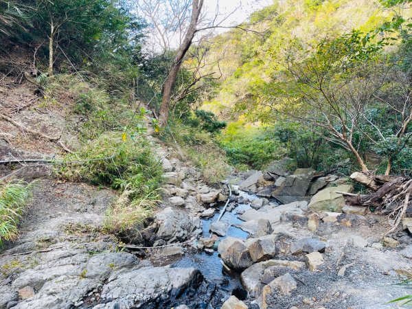1150123里龍山2986720