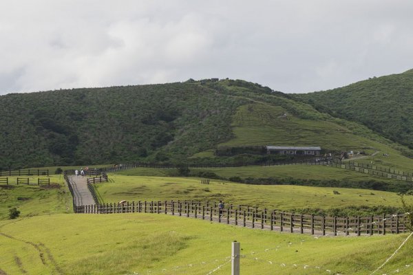 擎天崗.金包里大道(北段).日人路1086395