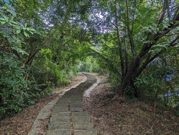 【百大必訪步道】飛鳳山、觀日坪古道1981986