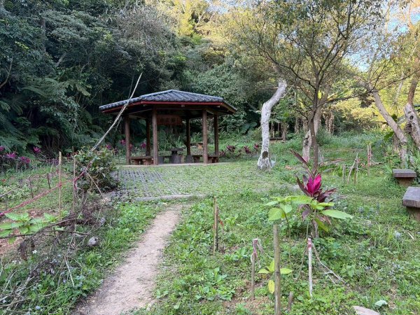 新北 林口 森林步道3015277