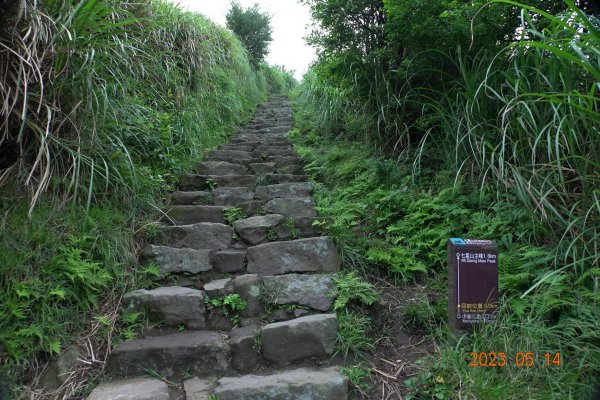 臺北 北投 七星山主峰、東、南、北峰2150415