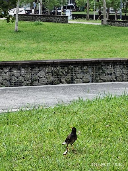 瑞陽公園、大港墘公園【臺北健走趣】【健走複利】2605409