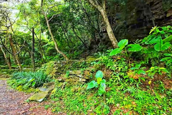 淡蘭古道中路百年山徑~暖東峽谷大環步道2846415