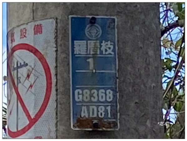 大堀底山 (穿霧隘勇線)3023649