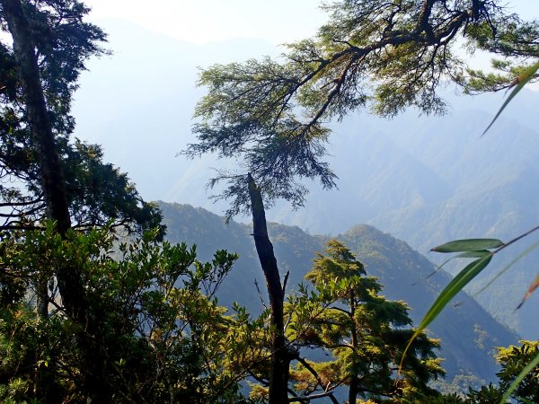 攀登平石山-(40年來第1次刁山)584738