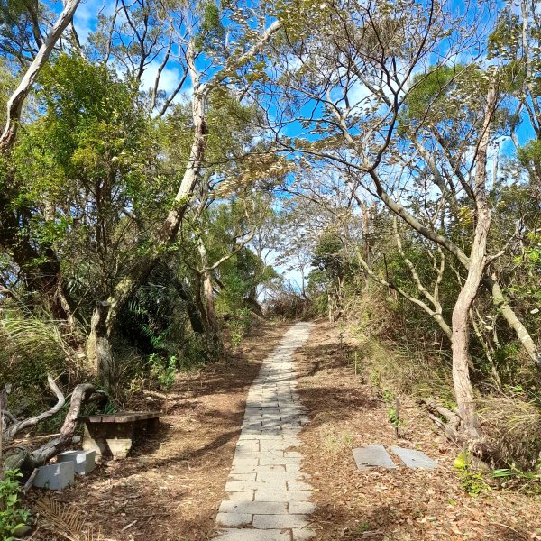 小百岳No.27⛰飛鳳山(中坑山)2405862