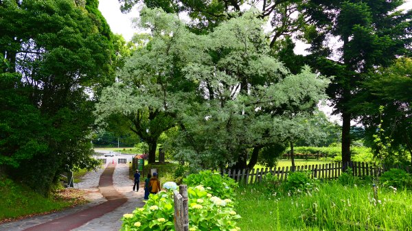 南九州－和氣神社,犬飼瀑布3064013