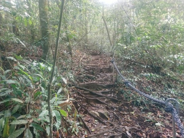 水社大山看雲看杜鵑935383