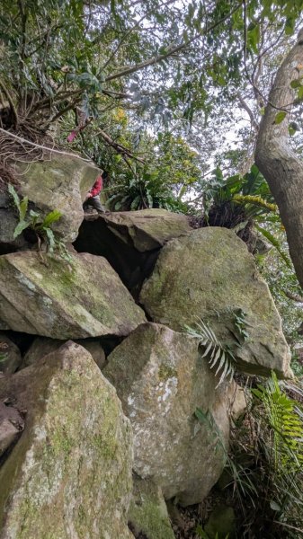 113.12.28小鷹尖-關山嶺-五八山-凌雲尖-龍女岩之旅2679376