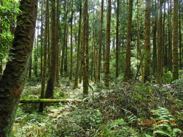 宜蘭 大同 旗山(未竟)923570