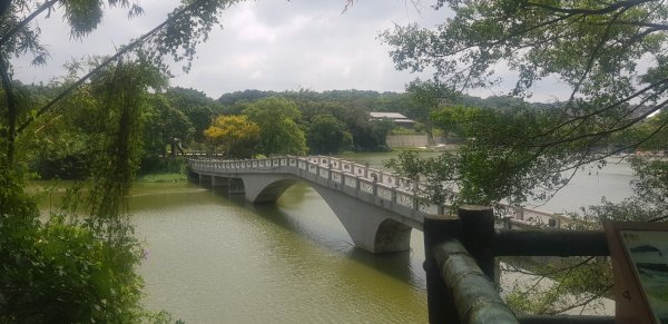 青草湖環湖步道689810