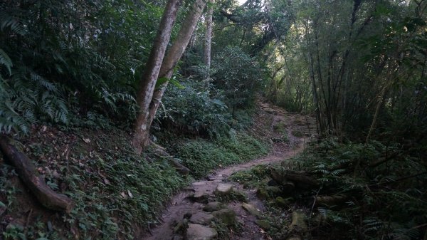 打鐵寮 草嶺山 石龜坑山 白石山連走1265212