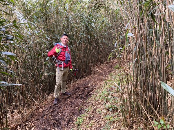 小觀音山群峰【當登山遇到惰性來襲時…】2686376