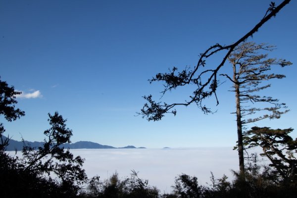 2019.11 南湖大山‧天氣大好744278