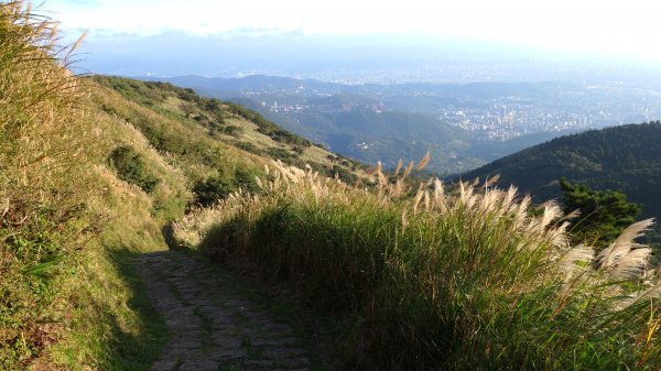 大屯主峰步道(11.16)737361