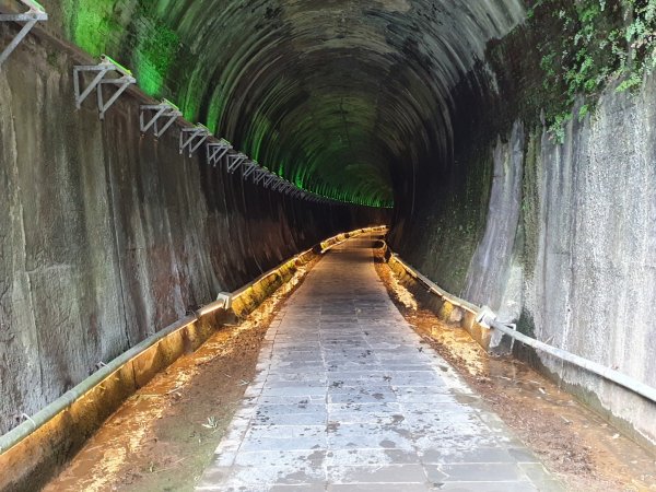 貓貍山公園，功維敘隧道1140930