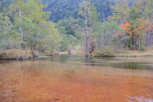 上高地河童橋735586