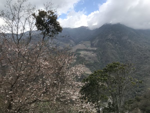 廬山六寶之三寶1300489