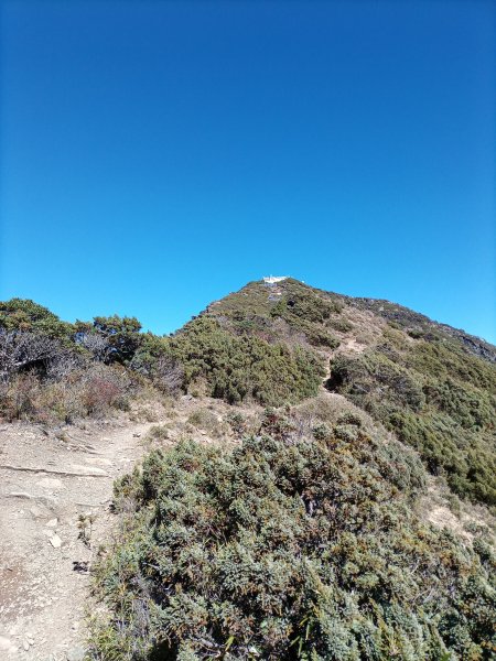 走向玉山北峰就為了一窺主峰全貌1947861