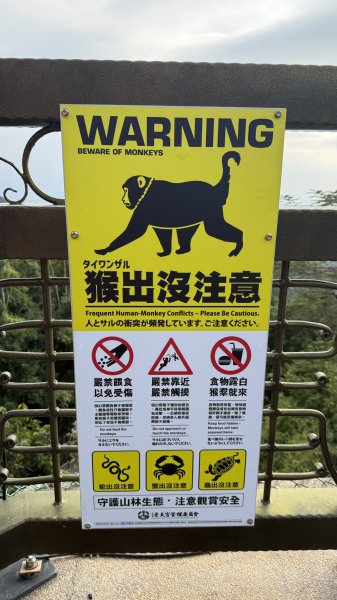 20260102松柏嶺登廟步道+松柏坑山、田園茶香賞茶步道+坑內坑森林步道2982908