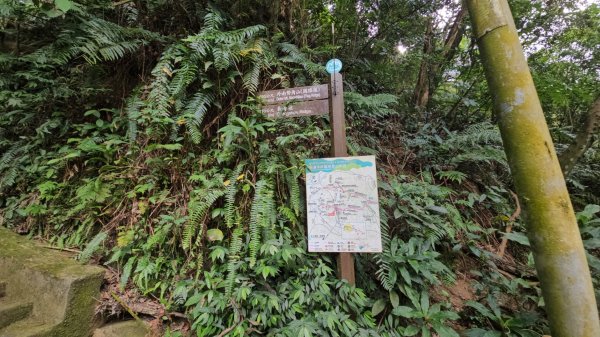 圓通寺烘爐地登山步道大O走3007098