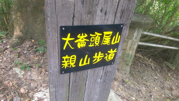 適合夏季健行的大崙頭尾山步道57400