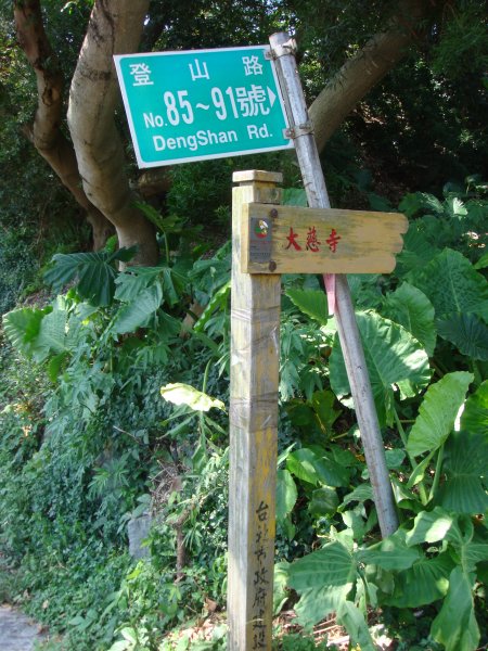 中正山親山步道1809376
