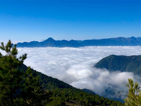 啟動高山度假模式～阿蓮五虎兄弟之馬博橫斷2073084