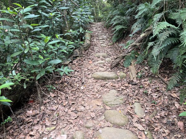 [皮皮獅探險隊-04/10] 2025_0706 三段崎古道2831764