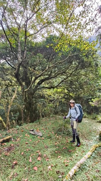 干卓萬群峰五天1141001~052906191