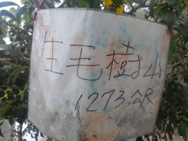 梅山鄉撿山頭2449432