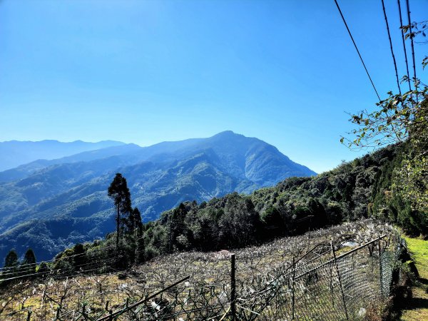 小百岳集起來-五指山2181588