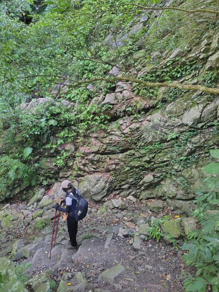 唐麻丹山 蝴蝶谷2918974