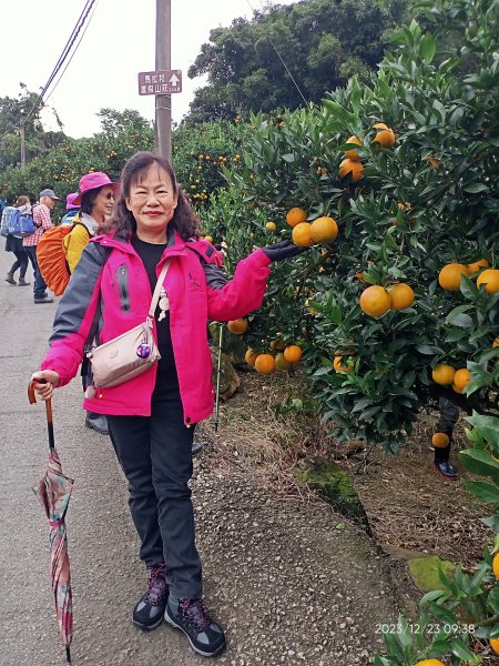 四訪苗栗的花果山-小百岳#037馬那邦山、雪霸國家公園管理處【小百岳集起來、苗栗-臺灣百大必訪步道】2394304