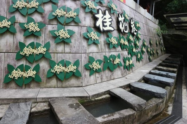 小百岳NO.29 苗栗獅頭山。獅山古道 茶園坪步道。峨眉湖環湖步道〔苗栗〕貓狸山公園 功維敘隧道2253503