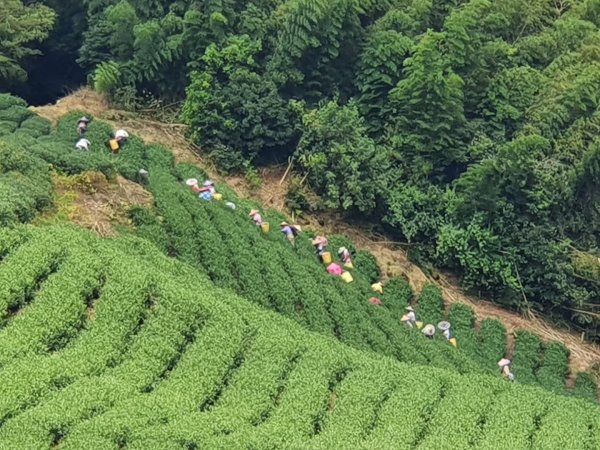 出水坑步道1105834