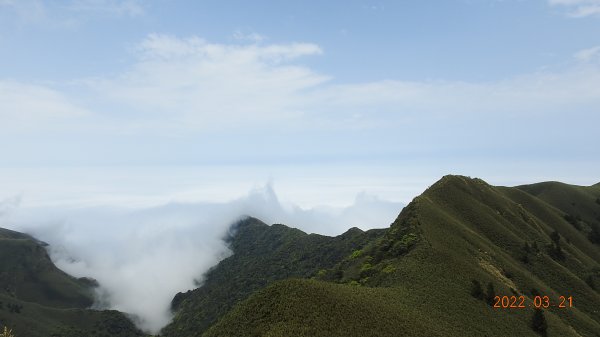 陽明山趴趴走，整天差強人意雲海1650815