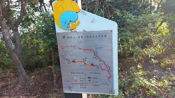 〔內湖三尖 〕忠勇山，鯉魚山，圓覺尖2118084