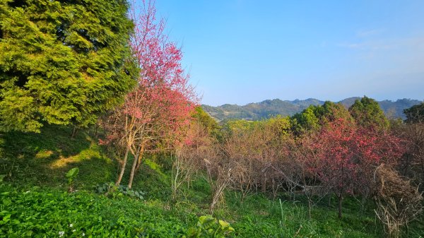 出關古道：十份崠段2700631
