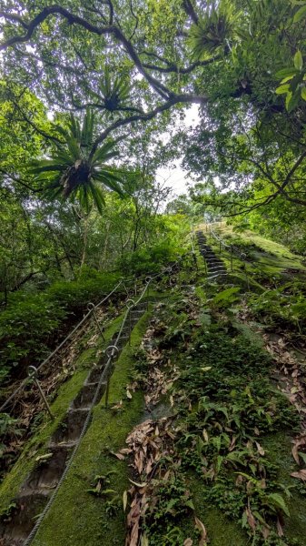 孝子山步道 (慈母峰+普陀山)2773600