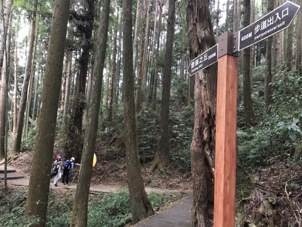 110年4月25日雲林  雲嶺之丘 五元二角 木馬古道1456560
