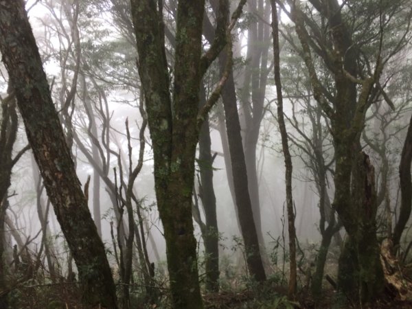 基那吉山-鎮西堡一日行649777